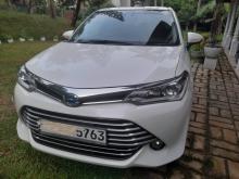 Toyota Axio 2016 Car