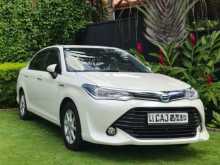 Toyota Axio 2015 Car
