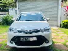 Toyota Axio G Grade 2017 Car