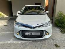 Toyota Axio 2016 Car