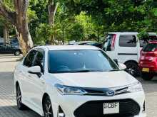 Toyota Axio 2018 Car