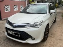 Toyota Axio 2015 Car
