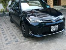 Toyota AXIO 2018 Car