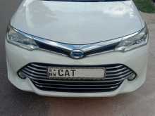 Toyota Axio 2016 Car