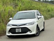 Toyota Axio 2017 Car