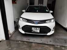 Toyota Axio 2019 Car