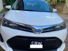 Toyota Axio 2023 Car