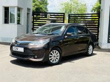 Toyota Axio 2016 Car