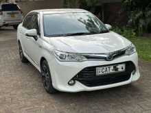 Toyota Axio 2015 Car