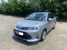 Toyota Axio 2017 Car