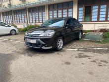 Toyota Axio 2016 Car