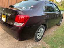 Toyota Axio 2014 Car