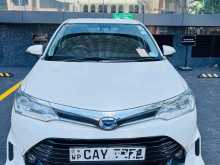 Toyota Axio 2016 Car