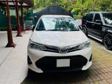 Toyota Axio 2019 Car