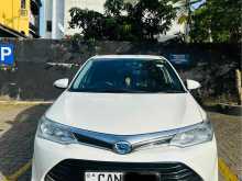 Toyota Axio 2015 Car