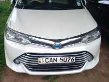 Toyota Axio 2016 Car