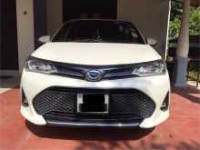 Toyota Axio 2018 Car