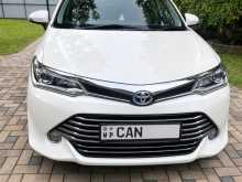 Toyota Axio 2015 Car