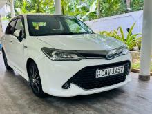 Toyota Axio 2016 Car