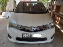 Toyota Axio 2014 Car