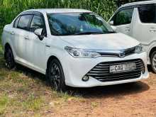 Toyota Axio 2015 Car