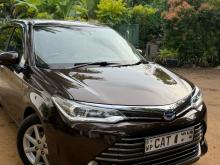 Toyota Axio G Grade 2017 Car