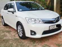 Toyota Axio 2014 Car