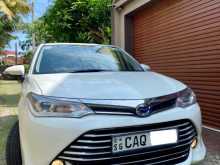 Toyota Axio G Grade 2016 Car