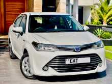 Toyota Axio G Grade 2017 Car