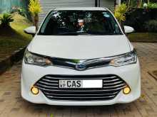 Toyota Axio G Grade Safety 2016 Car