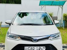 Toyota Axio G Grade 2016 Car