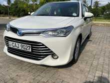 Toyota Axio G Grade 2015 Car