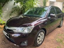 Toyota AXIO G GRADE 2015 Car