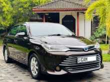 Toyota Axio G Grade Safety 2015 Car