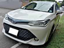 Toyota AXIO WXB 2017 Car