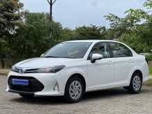 Toyota AXIO G GRADE 2023 Car