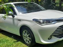 Toyota Axio G Grade 2016 Car