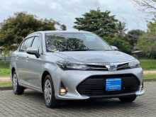 Toyota AXIO G GRADE 2023 Car