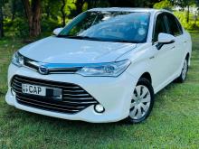 Toyota Axio G 2015 Car