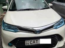 Toyota AXIO G GRADE 2017 Car