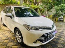 Toyota Axio G Grade 2016 Car