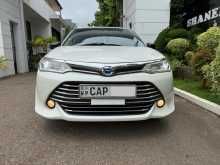 Toyota Axio G Grade 2016 Car