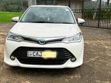 Toyota Axio G 2015 Car