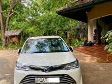 Toyota Axio G 2016 Car