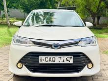 Toyota Axio G Grade 2016 Car
