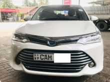 Toyota Axio G Grade 2015 Car