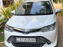 Toyota Axio G Grade 2015 Car