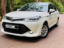 Toyota Axio G Safety 2015 Car