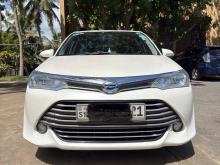 Toyota Axio G 2016 Car