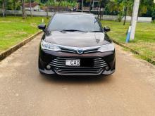 Toyota AXIO G Limited 2015 Car